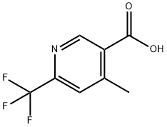 4-Methyl-6-trifluoromethyl-nicotinic acid Struktur