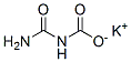 potassium carbamoylcarbamate Struktur