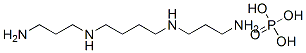 N,N'-bis(3-aminopropyl)butan-1,4-diamine phosphate  Struktur