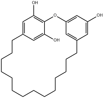 2,5-[Oxy(5-hydroxy-1,3-phenylene)(tetradecane-1,14-diyl)]resorcinol Struktur