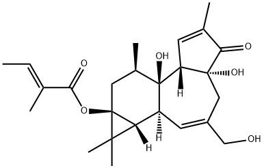 12-DEOXYPHORBOL 13-ANGELATE Struktur