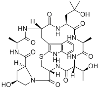 phalloin Struktur