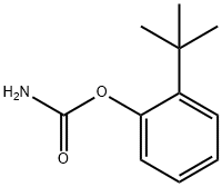 (2-tert-butylphenyl) carbamate Struktur