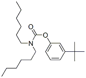 N,N-Dihexylcarbamic acid 3-tert-butylphenyl ester Struktur