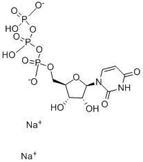 Uridine-13C9-15N2 5'-(tetrahydrogen triphosphate) sodium salt