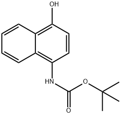 (4-HYDROXY-NAPHTHALEN-1-YL)-CARBAMIC ACID TERT-BUTYL ESTER