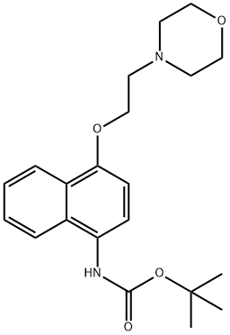 tert-butyl 4-(2-Morpholinoethoxy)naphthalen-1-ylcarbaMate