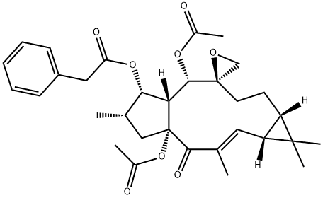 Euphorbiasteroid Structure