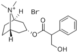 3-(3-Hydroxy-1-oxo-2-phenylpropo-xy)-8,8-dimethyl-8-azoniabi-cyclo(3.2.1)octan-bromid,endo-(+-)-