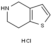 4,5,6,7-Tetrahydrothieno[3,2,c] pyridine hydrochloride