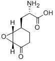 anticapsin Struktur