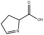 3,4-dihydro-2H-pyrrole-2-carboxylic acid Struktur