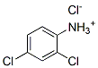 2,4-dichloroanilinium chloride Struktur