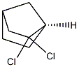 Norbornane, 2,2-dichloro-, (1R)-(-)- (8CI) Struktur