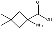 Cyclobutanecarboxylic acid, 1-amino-3,3-dimethyl- (8CI,9CI) Struktur