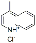 4-methylquinolinium chloride  Struktur