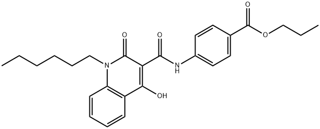 GSA 10 Struktur