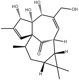 Ingenol Struktur