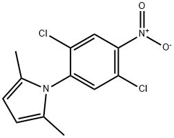 1-(2,5-DICHLORO-4-NITROPHENYL)-2,5-DIMETHYL-1H-PYRROLE Struktur