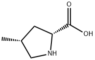 (2R,4R)-4-METHYL-2-PYROOLIDINE CARBOXYLIC ACID Struktur