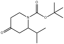 1-BOC-2-ISOPROPYL-PIPERIDIN-4-ONE Struktur