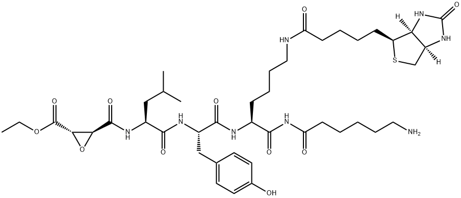 DCG04 Struktur