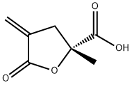 2-Furancarboxylicacid,tetrahydro-2-methyl-4-methylene-5-oxo-,(2R)-(9CI) Struktur