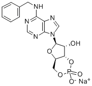 6-BN-CAMP SODIUM SALT Struktur