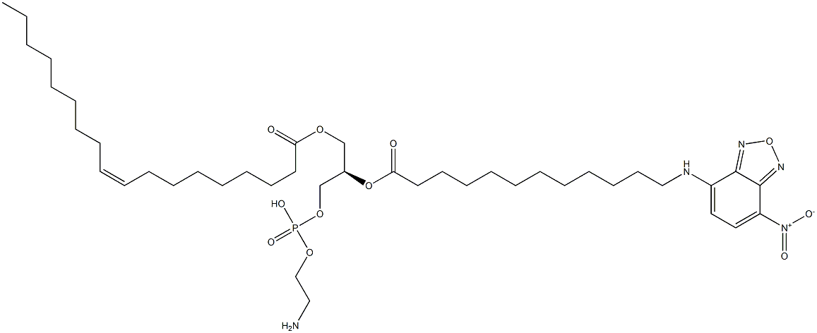  化學(xué)構(gòu)造式