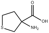 3-AMINO-TETRAHYDRO-THIOPHENE-3-CARBOXYLIC ACID Struktur