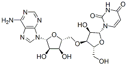 uridylyl(3'->5')adenosine Struktur