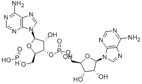 Adenosine, adenylyl-(3'->5')-, mono(hydrogen phosphonate) (ester)  Struktur