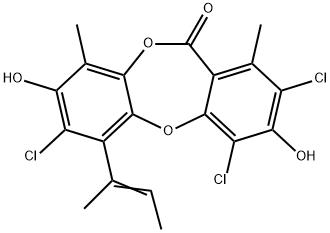 NORNIDULIN Struktur