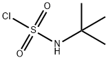 TERT-BUTYLSULFAMOYL CHLORIDE Struktur