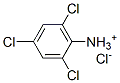 2,4,6-trichloroanilinium chloride Struktur