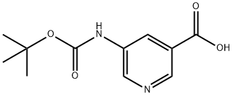 5-TERT-BUTOXYCARBONYLAMINO-PYRIDINE-3-CARBOXYLIC ACID Struktur