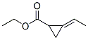 Cyclopropanecarboxylic acid, ethylidene-, ethyl ester (9CI) Struktur