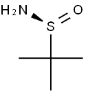 (S)-(-)-2-Methyl-2-propanesulfinamide Struktur