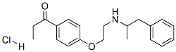 1-[4-[2-[(1-methyl-2-phenylethyl)amino]ethoxy]phenyl]propan-1-one hydrochloride Struktur