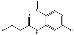 3-CHLORO-N-(5-CHLORO-2-METHOXYPHENYL)PROPANAMIDE Struktur