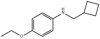 Benzenamine, N-(cyclobutylmethyl)-4-ethoxy- (9CI) Struktur