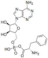 phenylalanyl adenylate Struktur