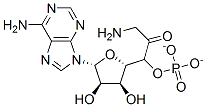 glycyladenylate Struktur