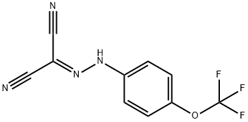 FCCP