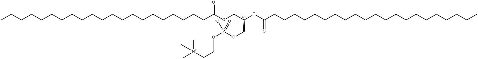 1,2-DIDOCOSANOYL-SN-GLYCERO-3-PHOSPHOCHOLINE Struktur