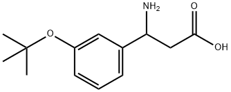 3-AMino-3-(3-tert-butoxyphenyl)propanoic Acid Struktur