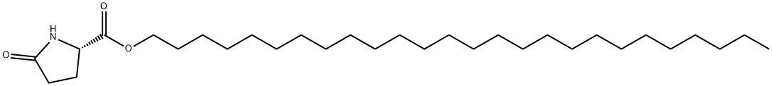 hexacosyl 5-oxo-L-prolinate Struktur