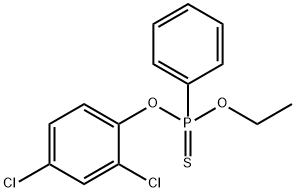 EPBP Struktur