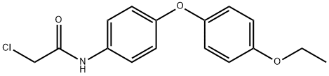 2-CHLORO-N-[4-(4-ETHOXYPHENOXY)PHENYL]ACETAMIDE Struktur