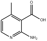 2-AMINO-4-METHYLNICOTINIC ACID, Struktur